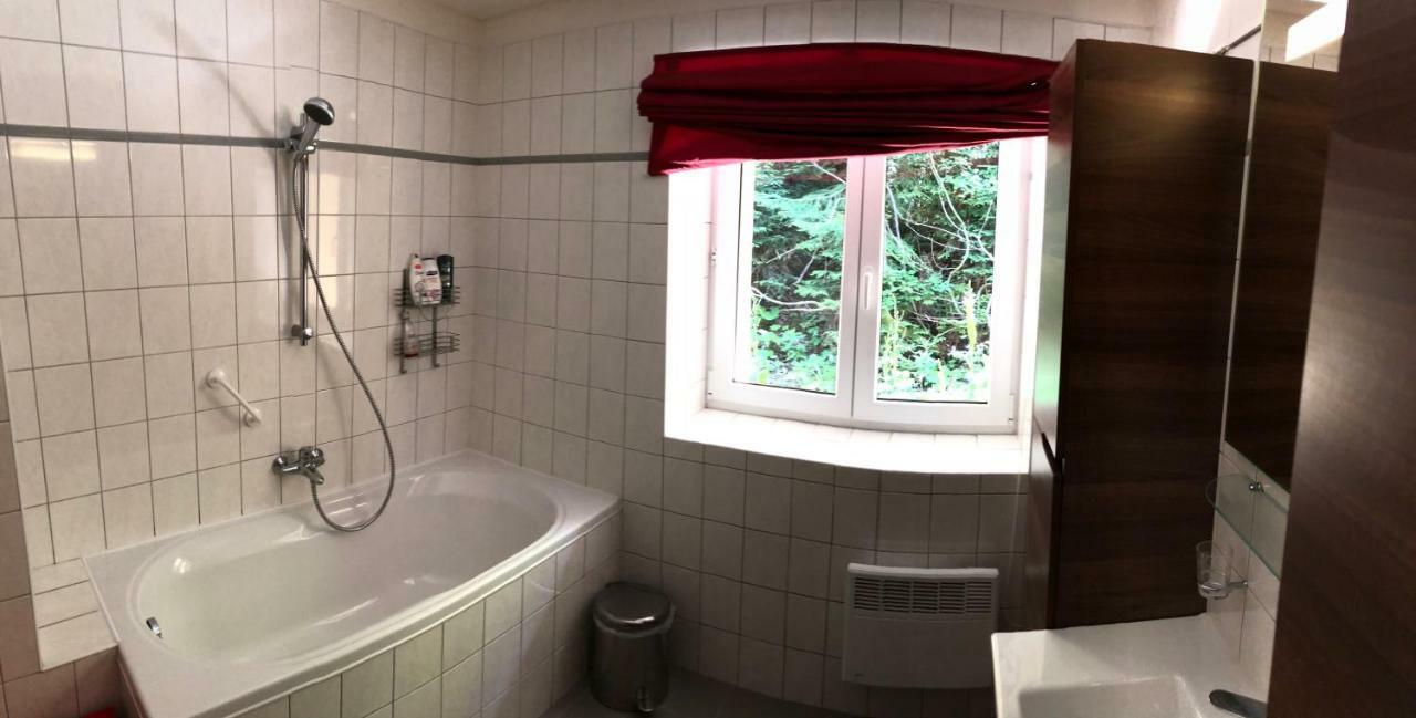 Apartman Poustevnik Pec pod Snezkou Exterior photo